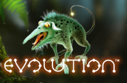 Evolution